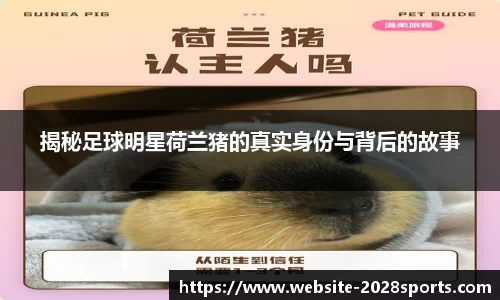 揭秘足球明星荷兰猪的真实身份与背后的故事