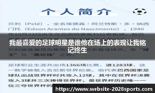 2028体育官方网站