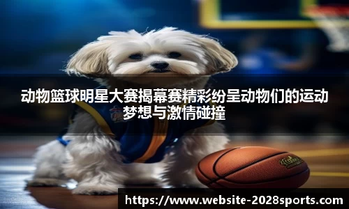 2028体育官网